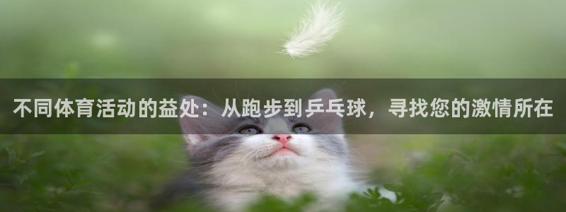 MK体育官方正版app娱乐是那个系列的台子
