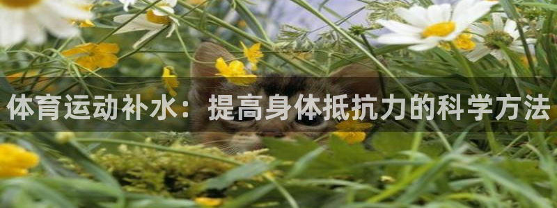 MK体育官方正版app娱乐网站：体育运动补水：提高身体抵抗力