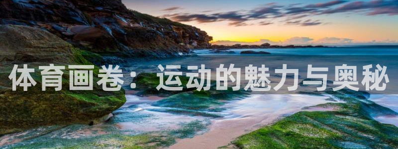 MK体育官方正版app集团简介：体育画卷：运动的魅力