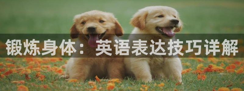 MK体育官网下载招商电话号码是多少：锻炼身体：英语表达技巧详
