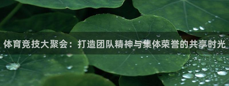MK体育官网下载招商电话是多少啊：体育竞技大聚会：打造团队精