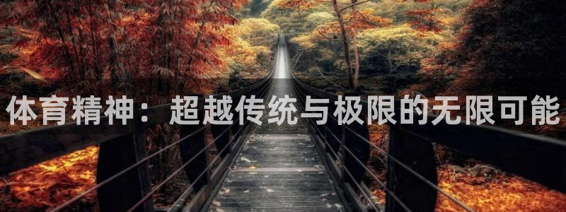 MK体育官方正版app集团官网网址：体育精神：超越传统与极限
