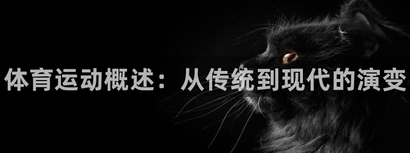 MK体育官网下载招商电话是多少：体育运动概述：从传统