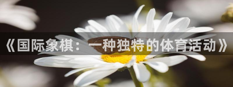 MK体育官网下载平台是正规平台吗：《国际象棋：一种独