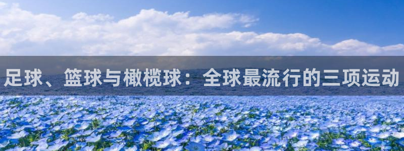 MK体育官方集团官网：足球、篮球与橄榄球：全球最流行