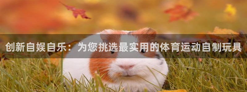 MK体育官方正版app娱乐代理怎么样：创新自娱自乐：