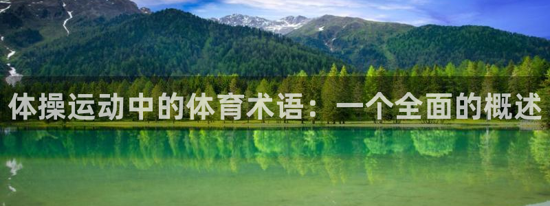 注册MK体育官方正版app：体操运动中的体育术语：一