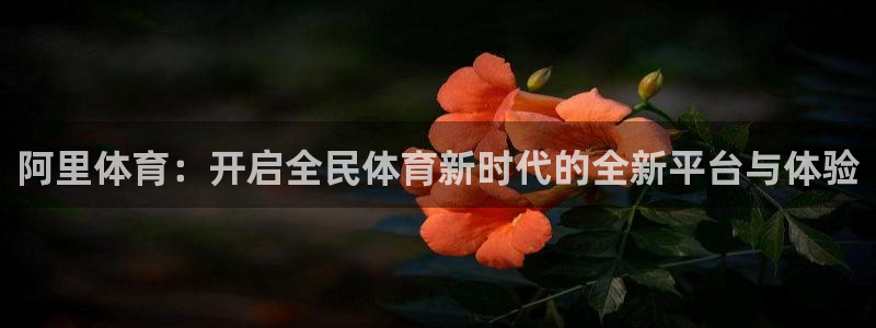 MK体育官网下载招商电话地址是多少：阿里体育：开启全
