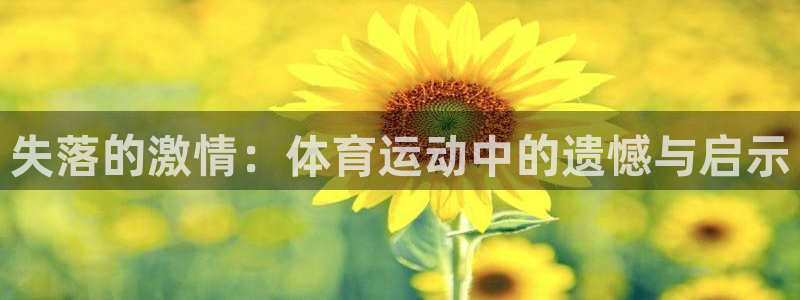MK体育官网下载平台注册要钱吗：失落的激情：体育运动中的遗憾