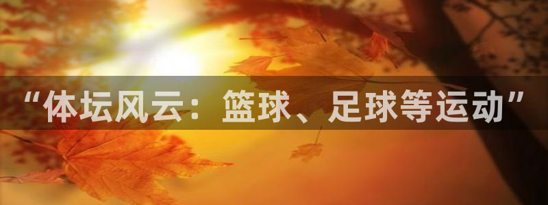 MK体育官网下载注册：“体坛风云：篮球、足球等运动”