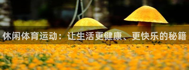 MK体育官方正版app娱乐：休闲体育运动：让生活更健康、更快