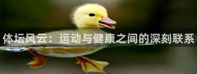 MK体育官网下载招商电话号码是多少：体坛风云：运动与健康之间