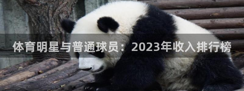 MK体育官网下载平台假的吗是真的吗吗：体育明星与普通