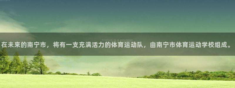 MK体育官方正版app娱乐：在未来的南宁市，将有一支充满活力
