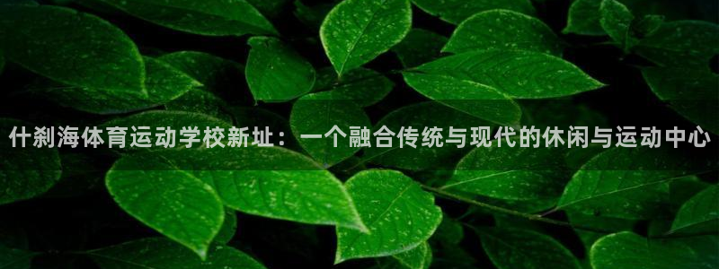 注册MK体育官方正版app：什刹海体育运动学校新址：一个融合