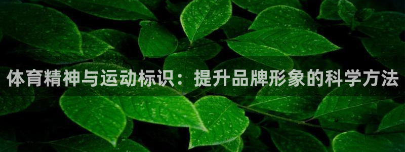 MK体育官网下载开户