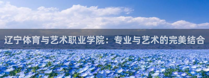 MK体育官网下载平台：辽宁体育与艺术职业学院：专业与艺术的完