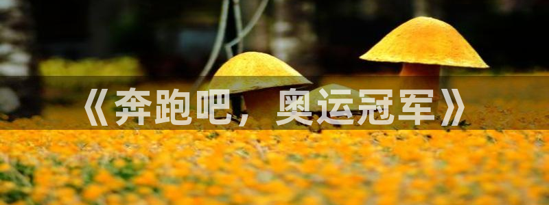 MK体育官网下载招商电话地址是多少：《奔跑吧，奥运冠军》