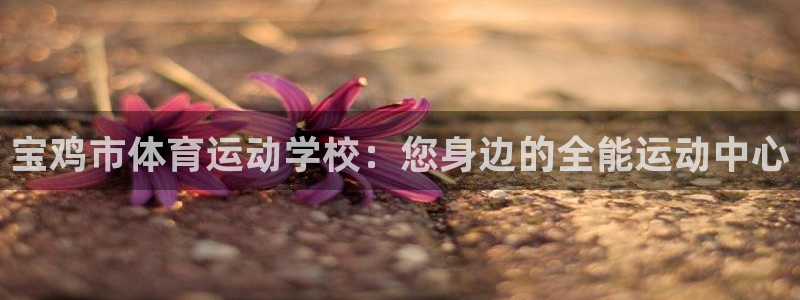 MK体育官方正版app神州：宝鸡市体育运动学校：您身边的全能