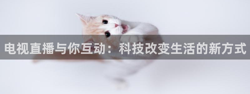 nba直播雨燕在线观看：电视直播与你互动：科技改变生活的新方式