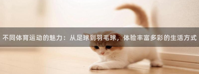  MK体育游戏：不同体育运动的魅力：从足球到羽毛球，体验丰富多