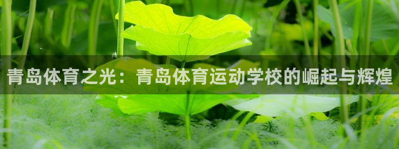  MK体育手机版打开即玩官方直营231g10.中国：青岛体育之
