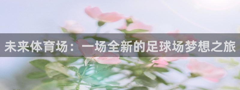 mk体育平台怎么样：未来体育场：一场