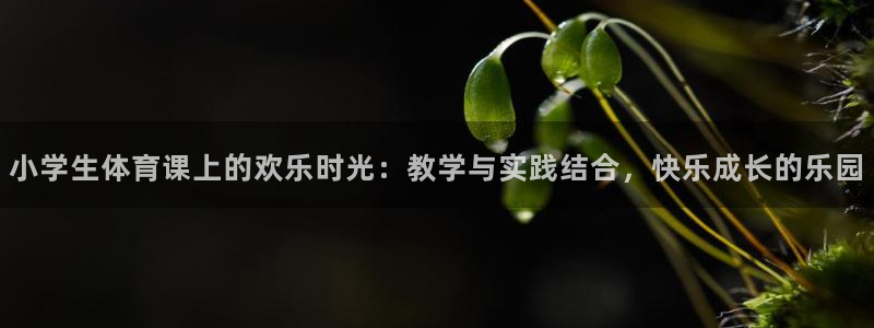 mk体育app官网版最新版本更新内容是什么：小学生体育课上的