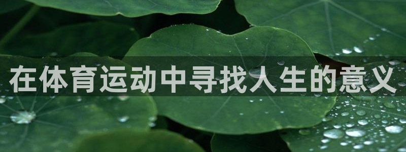  MK体育网页：在体育运动中寻找人生的意义
