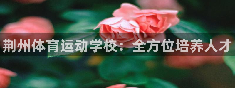 mk体育在线官网首页直播：荆州体育运动学校：全方位培养人才