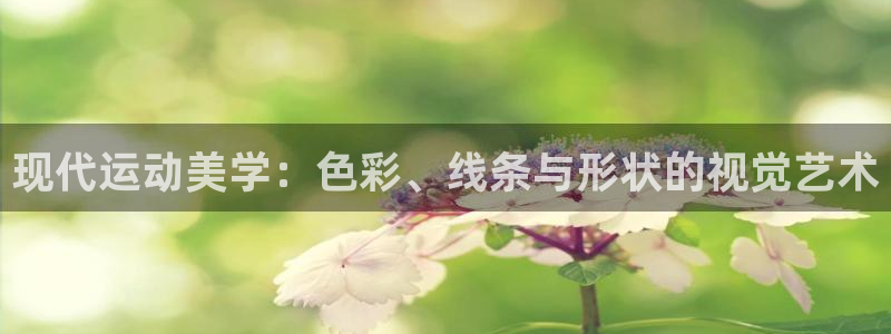 MK体育：现代运动美学：色彩、线条与