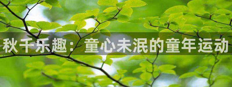 MK体育场：秋千乐趣：童心未泯的童年