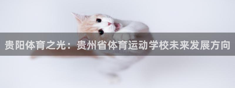 mk体育平台怎么样可靠吗：贵阳体育之