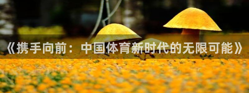 mk体育app官网版最新版本更新内容
