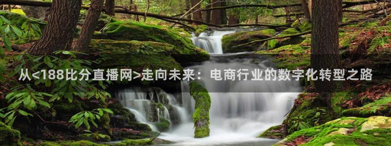 雨燕免费直播比赛：从<188比分直播网>走向未来：电商行业的数字化转型之路
