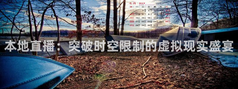 雨燕直播体育在线观看免费：本地直播：突破时空限制的虚拟现实盛宴