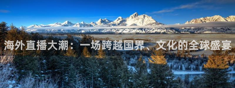 cba雨燕直播：海外直播大潮：一场跨越国界、文化的全球盛宴