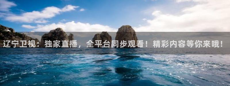 雨燕体育直播免费直播：辽宁卫视：独家直播，全平台同步观看！精彩内容等你来哦！