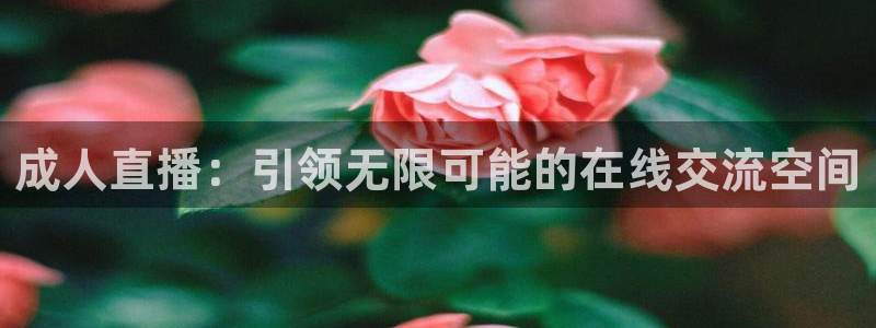 雨燕nba直播吧jrs直播：成人直播：引领无限可能的在线交流空间