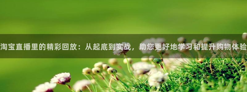 雨燕体育直播平台：淘宝直播里的精彩回放：从起底到实战，助您更好地学习和提升购物体验