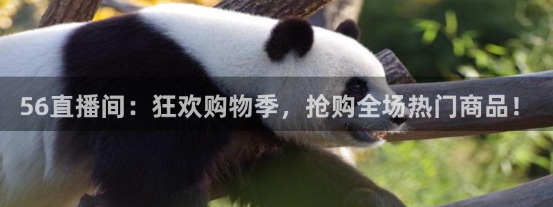 360足球雨燕直播：56直播间：狂欢购物季，抢购全场热门商品！