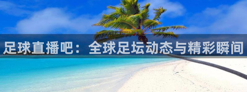 雨燕直播免费体育直播：足球直播吧：全球足坛动态与精彩瞬间