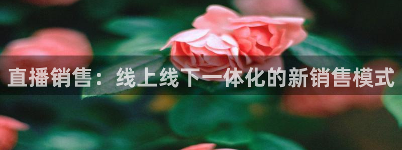360雨燕直播吧：直播销售：线上线下一体化的新销售模式