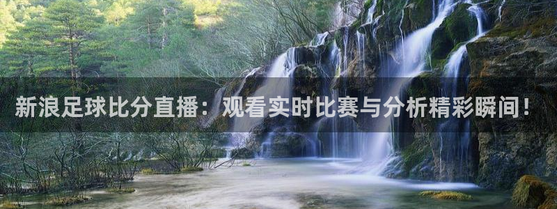 nba在线雨燕直播：新浪足球比分直播：观看实时比赛与分析精彩瞬间！
