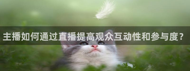 雨燕 24网nba直播 体育 免费：主播如何通过直播提高观众互动性和参与度？
